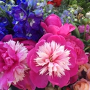 My Garden Over Floweth