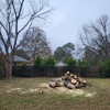Perry Land and Tree gallery