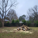 Perry Land and Tree - Tree Service