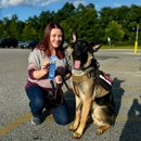 Dog Training Elite Northeast Ohio Facility - Dog Training