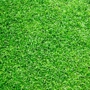 Artificial Grass by Design
