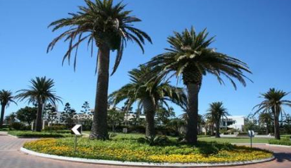 Professional Turf & Garden P/L