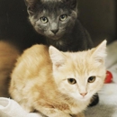 Reed Animal Hospital - Veterinarians