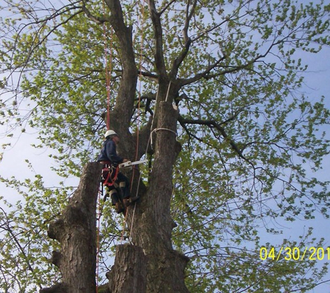 J&M Tree Service - Flint, MI