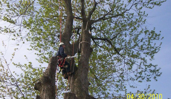 J&M Tree Service - Flint, MI