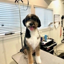 The Dog House Pet Salon - Pearland - Pet Grooming