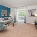 62 Eleven - Real Estate Rental Service