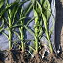 AgriEnergy Solutions - Farming Service