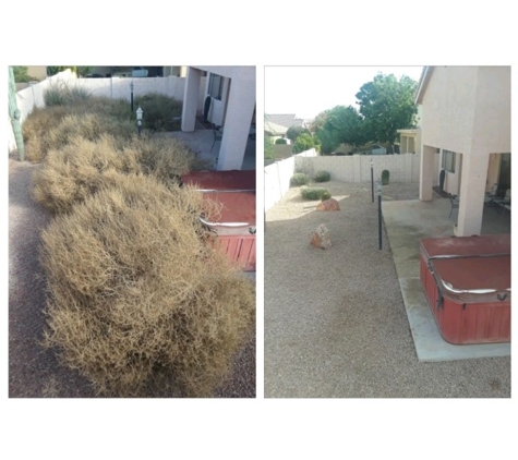 Phillip's Landscaping services - Chandler, AZ