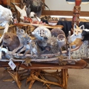 American Natural Resources - Taxidermists