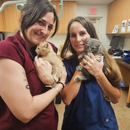 VCA Laguna Niguel Animal Hospital - Veterinarians