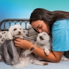 Pet Paradise Wilmington gallery