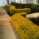 Lawnscapes of South Florida - Lawn Maintenance