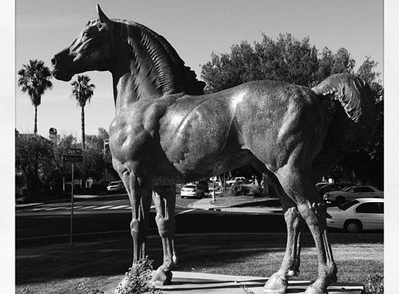 Triton Museum of Art - Santa Clara, CA