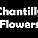 Chantilly Flowers - Flowers, Plants & Trees-Silk, Dried, Etc.-Retail