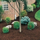 Earth Leveling Service - Excavation Contractors