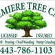 Premiere Tree Care