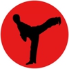 Martial Arts Website Design gallery