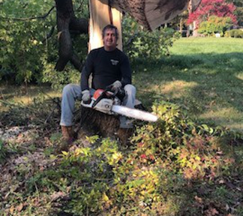 Down To Earth Tree & Stump Removal - Frankfort, IL