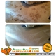 Citrusolution Carpet Cleaning Of Orlando