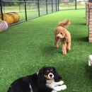 Town and Country Animal Hospital - Pet Boarding & Kennels