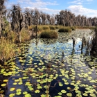 Tibet-Butler Preserve