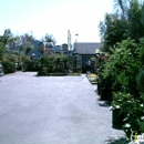 Evergreen Nursery - Nurseries-Plants & Trees