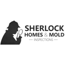 Sherlock Homes & Mold Inspection - Fireplaces
