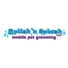 Splish N Splash gallery