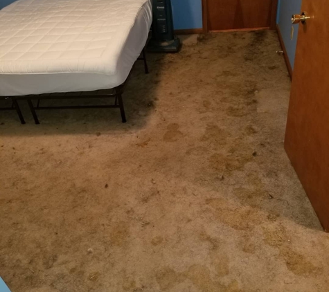 xtreme Green Carpet Cleaning - Morgantown, WV