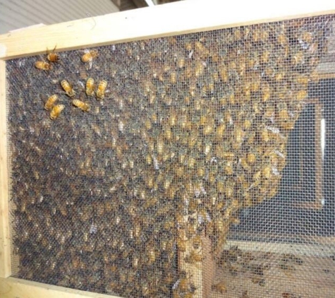 Deseret Hive Supply - Ogden, UT