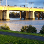 Gallery Image Number 2