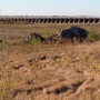 US Bonne Carre Spillway