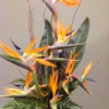 Enchanted Florist & Gifts LLC gallery
