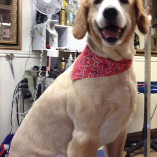 Smart Dogs Grooming Salon - Florissant, MO