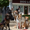 Dog Lovers Obedience School gallery