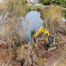 Community Tree Service Inc. - Stump Removal & Grinding