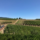 Adelsheim Vineyard - Wineries