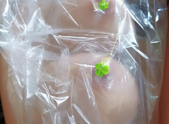 DS Bodyskins - Lawnton, QLD. My new silicone breast forms