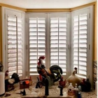 Budget Blinds of Katy & Sugar Land