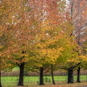 Gallery Image Number 3