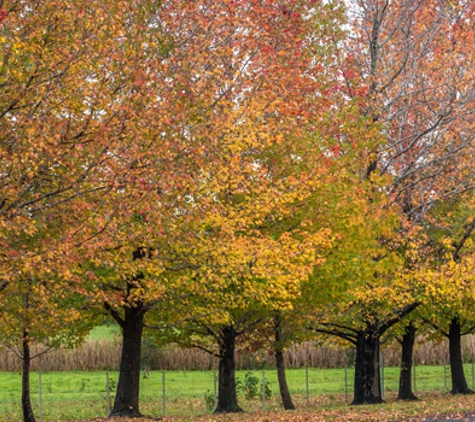 iProperty Conveyancing - Gregory Hills, NSW