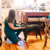 Pike Road Mobile Veterinary Services gallery