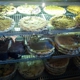 Royer's Pie Haven