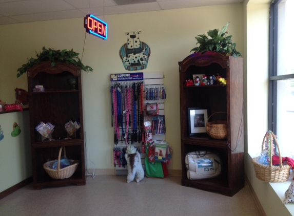 Pampered Paws Pet Grooming - Collierville, TN
