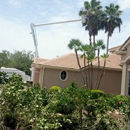 Carino Complete Lawn & Tree Services Inc - Tree Service