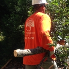 Southern Touch Tree Service, LLC