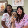 Acadiana West Animal Clinic LLC gallery