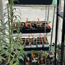 PJ's Plant Shop - Farming Service