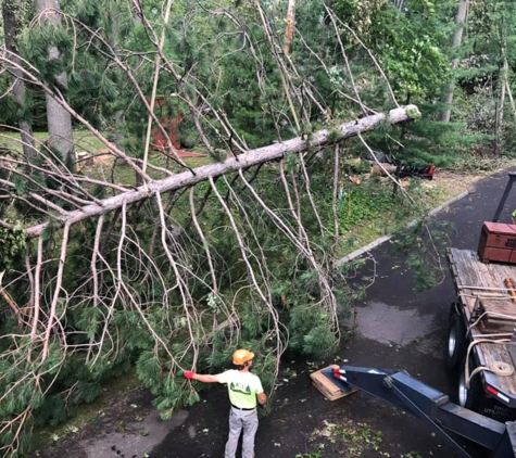 Jce Tree Service - River Falls, WI